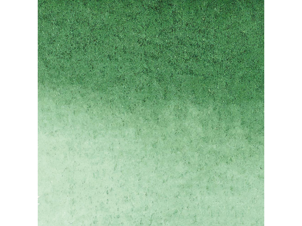 WINSOR & NEWTON PROMARKER WATERCOLOUR 312 HOOKERS GREEN DARK 3