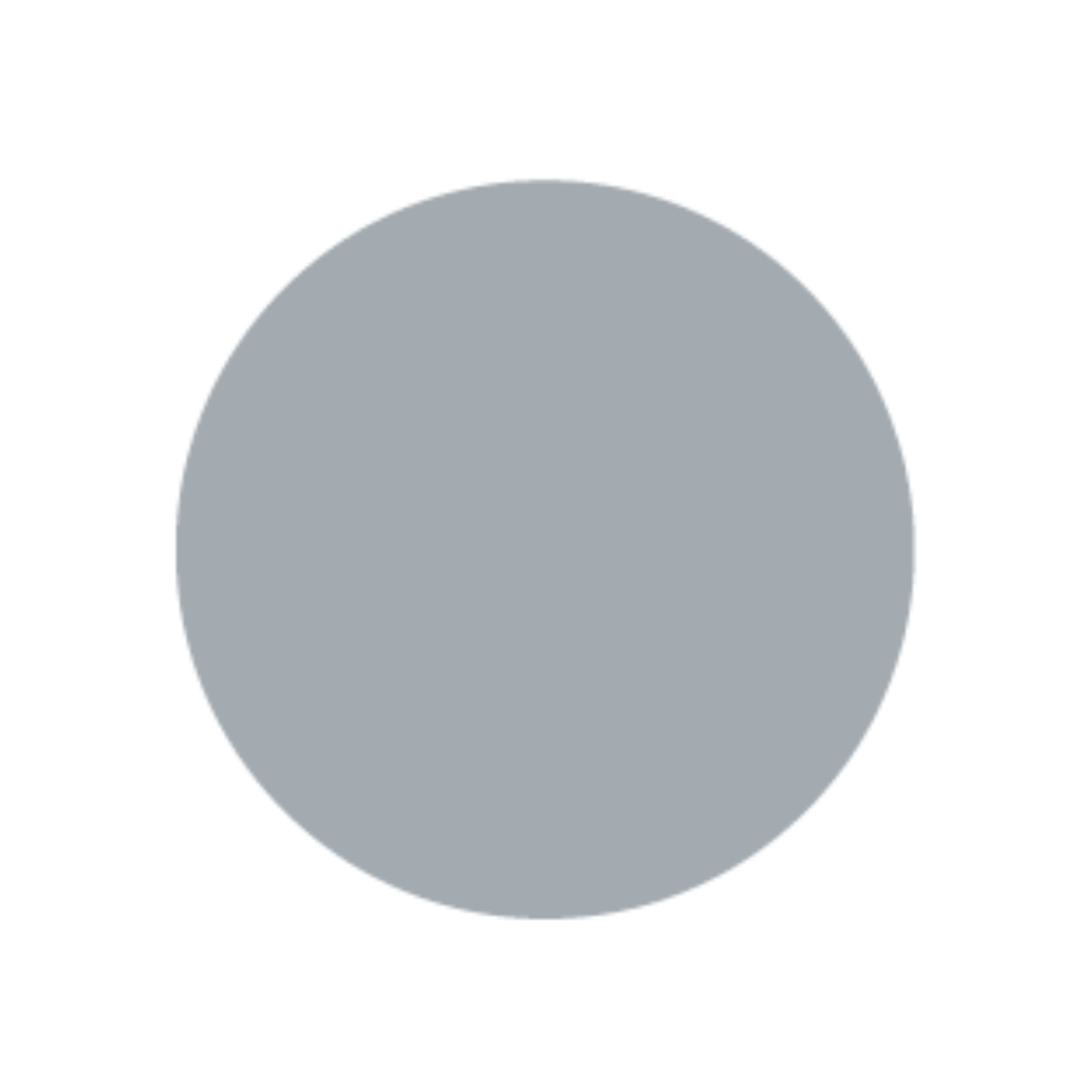 GHIANT EXPERT ACRYL 300 ML GREY 410 2