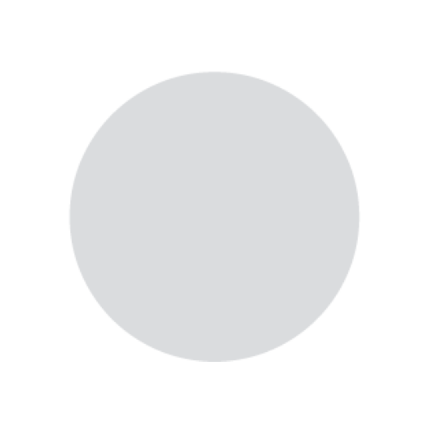 GHIANT EXPERT ACRYL 300 ML LIGHT GREY 411 2