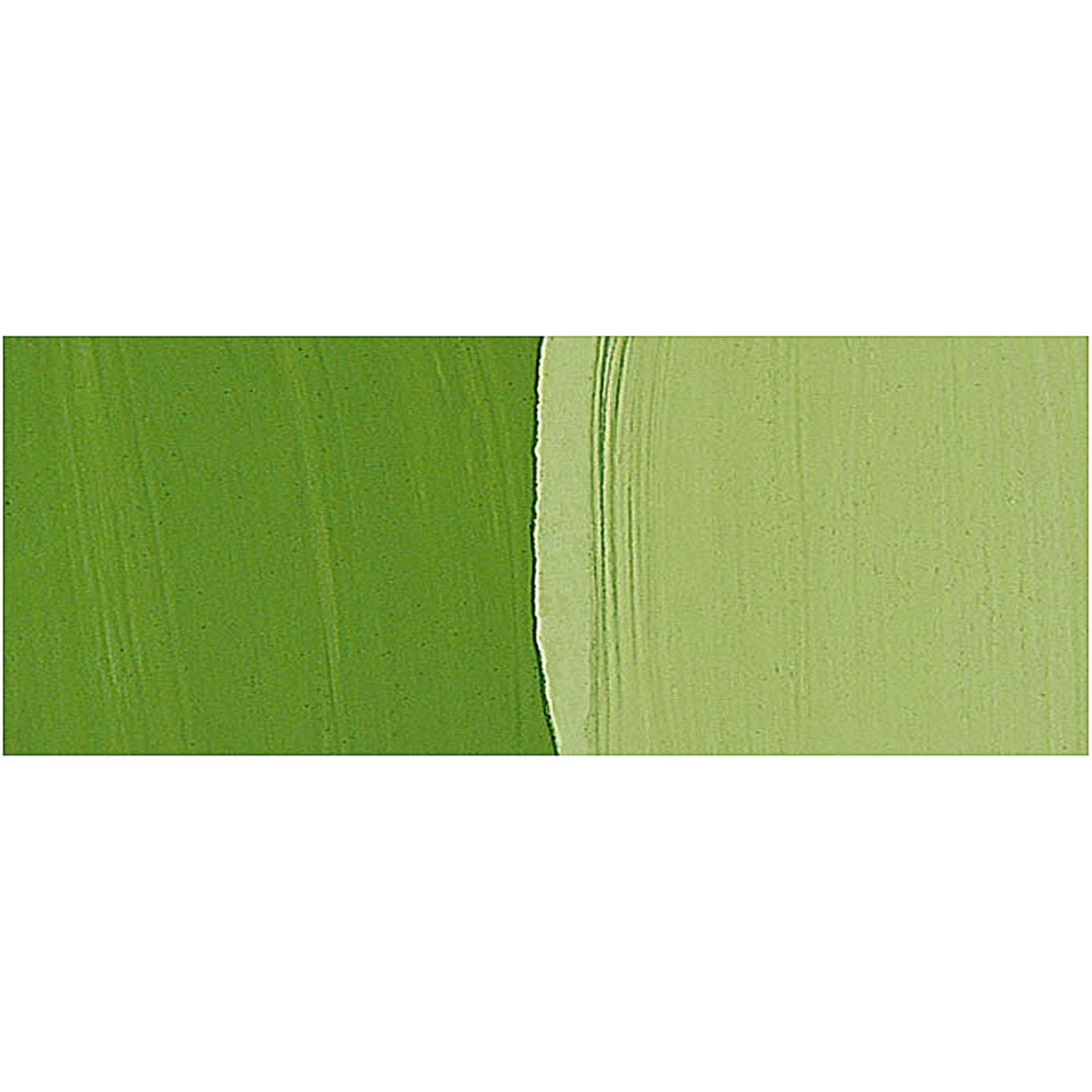 HOLBEIN ARTISTS' GOUACHE 15ML OLIVE GREEN G546 2