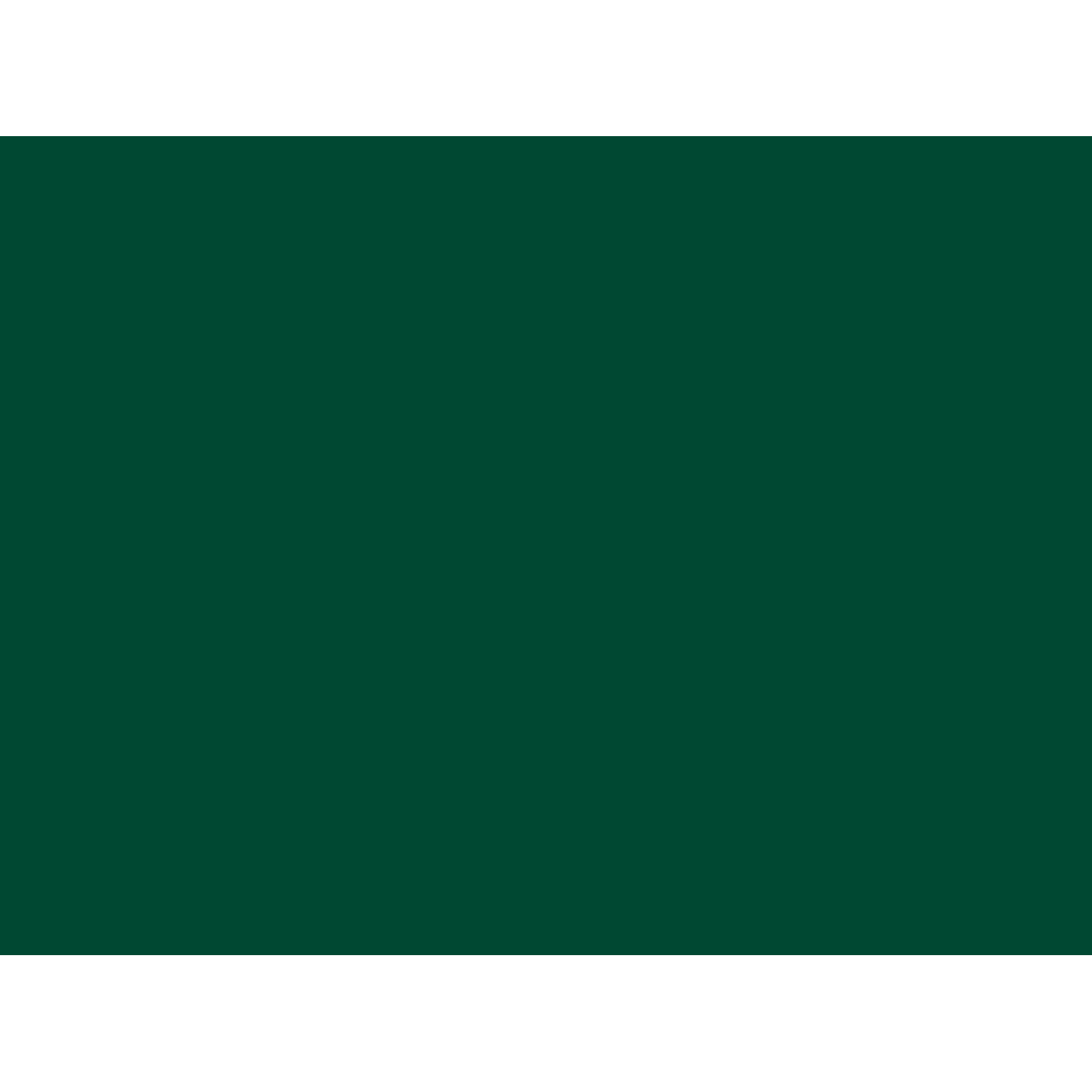 JACQUARD PINATA ALCOHOL INK 14ML RAINFOREST GREEN 023 2
