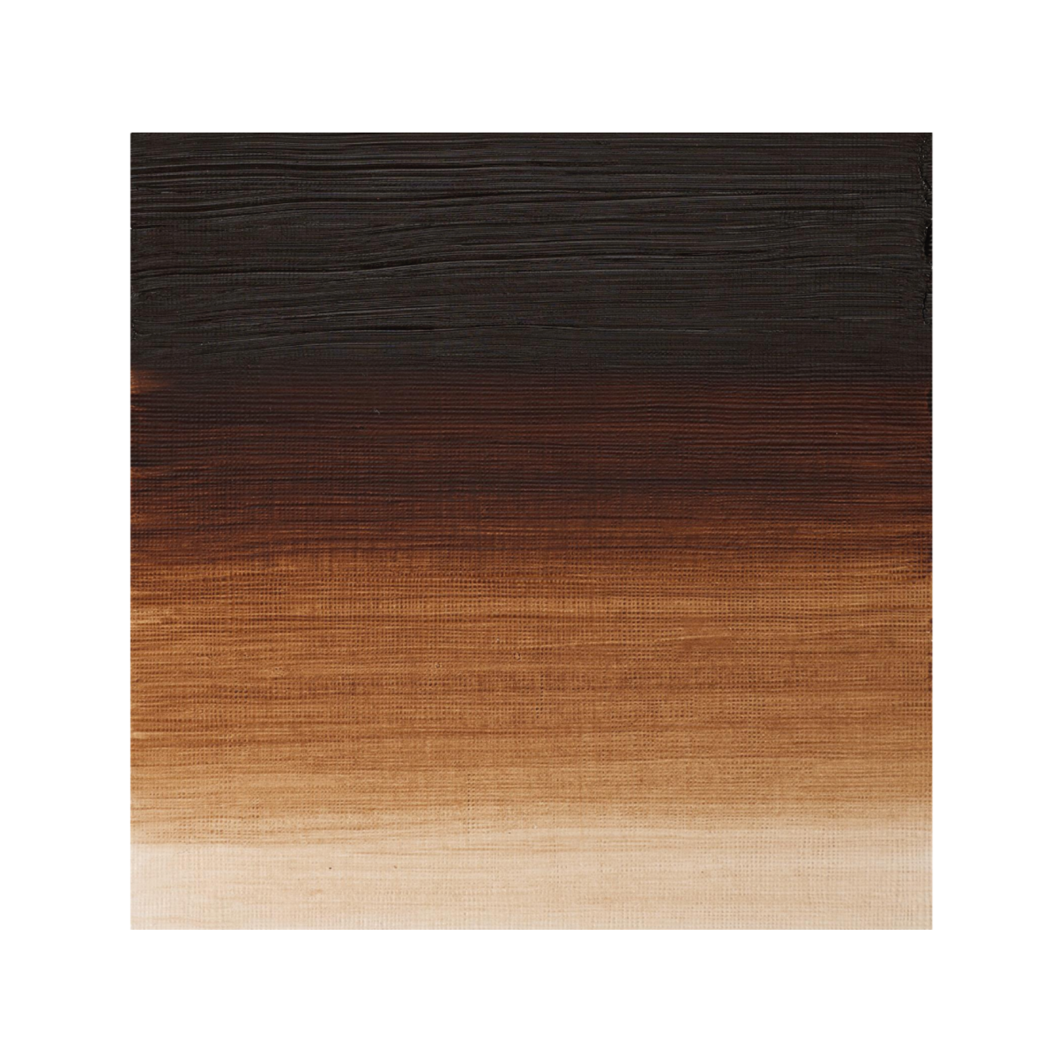 WINSOR & NEWTON ARTISTS ÖLFARBE 37ML 076 UMBRA GEBRANNT 2