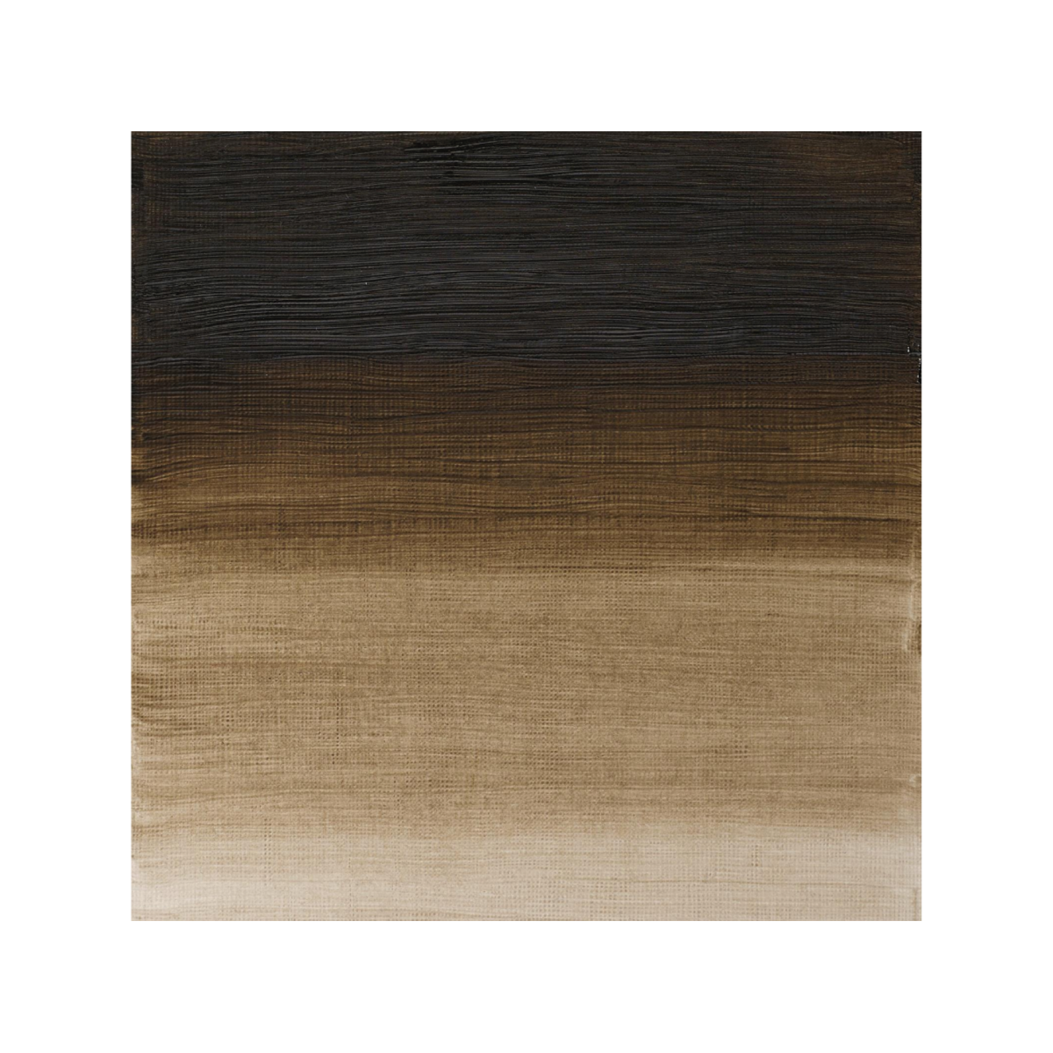 WINSOR & NEWTON ARTISTS ÖLFARBE 37ML 558 UMBRA NATUR (GRÜNTON) 2