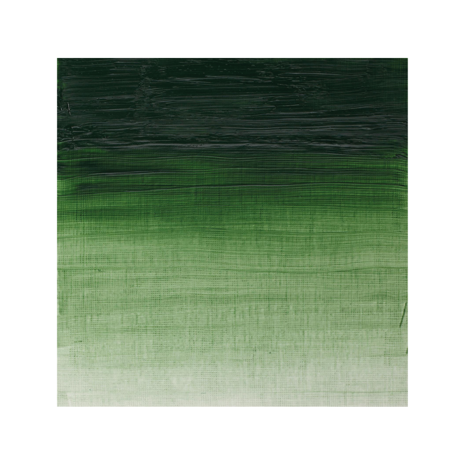 WINSOR & NEWTON ARTISTS ÖLFARBE 37ML 637 GRÜNE ERDE 2