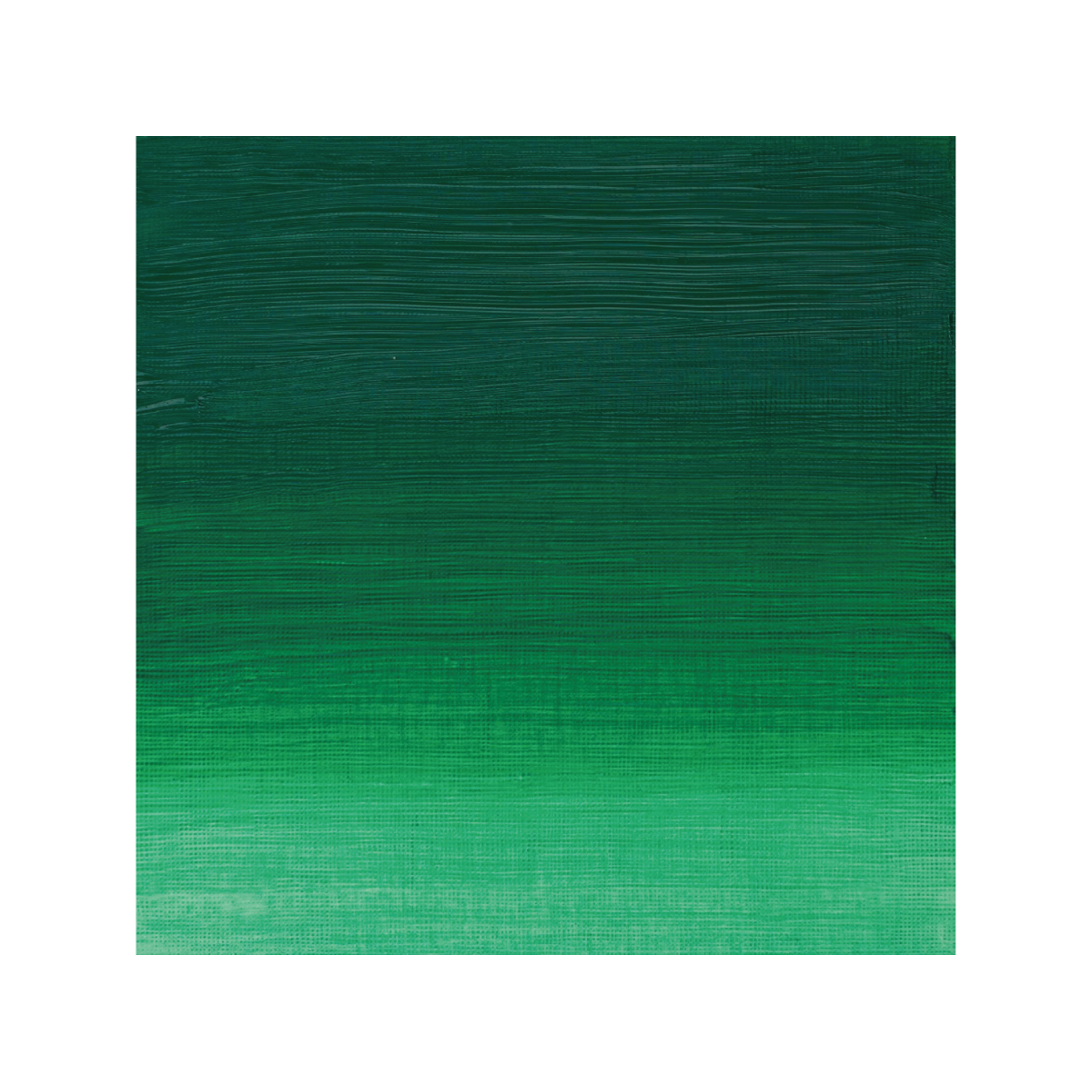 WINSOR & NEWTON ARTISTS ÖLFARBE 37ML 481 PERMANENTGRÜN 2