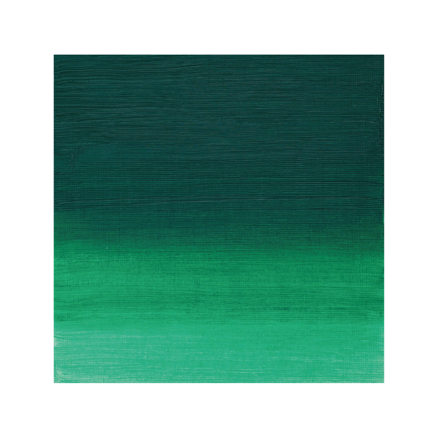 WINSOR & NEWTON ARTISTS ÖLFARBE 37ML 482 PERMANENTGRÜN DUNKEL 2