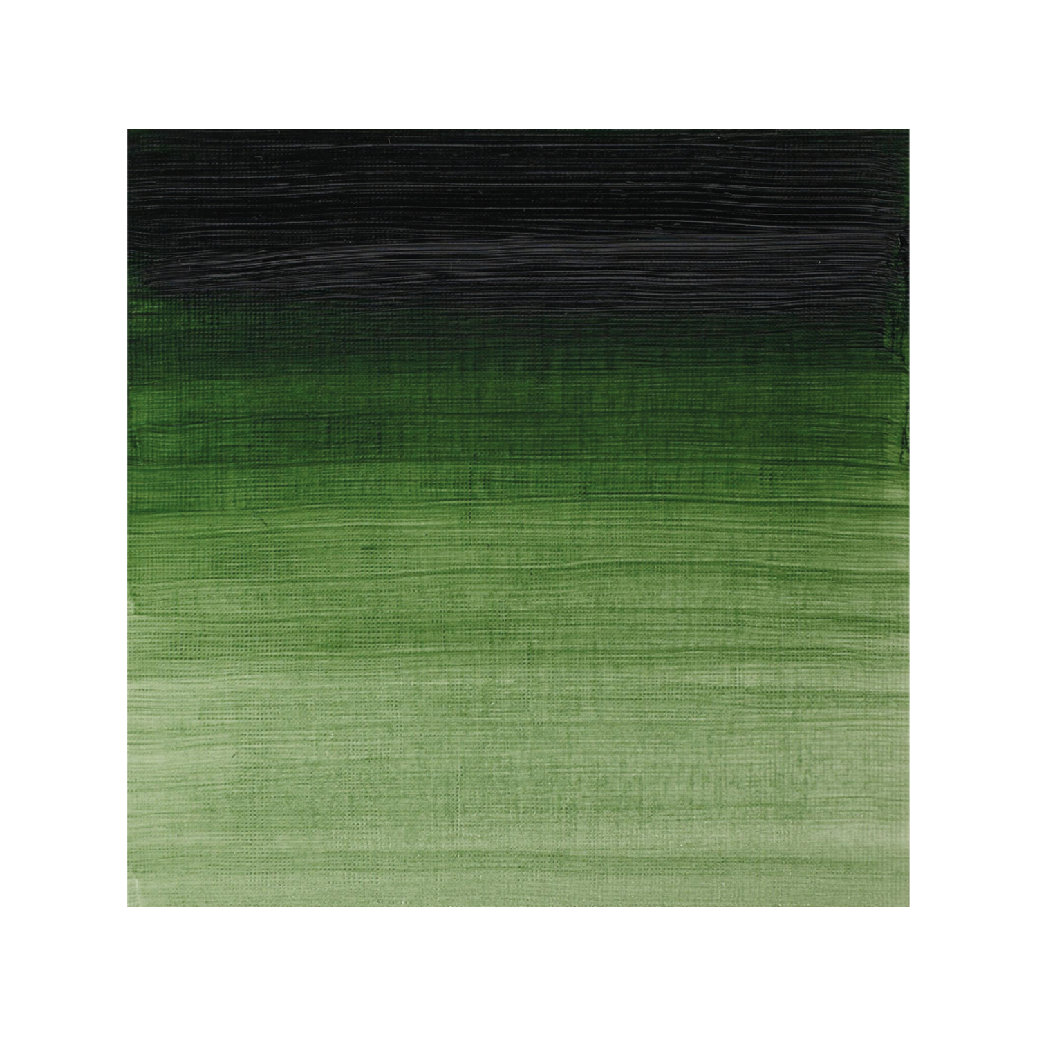 WINSOR & NEWTON ARTISTS ÖLFARBE 37ML 540 PREUSSISCH GRÜN 2