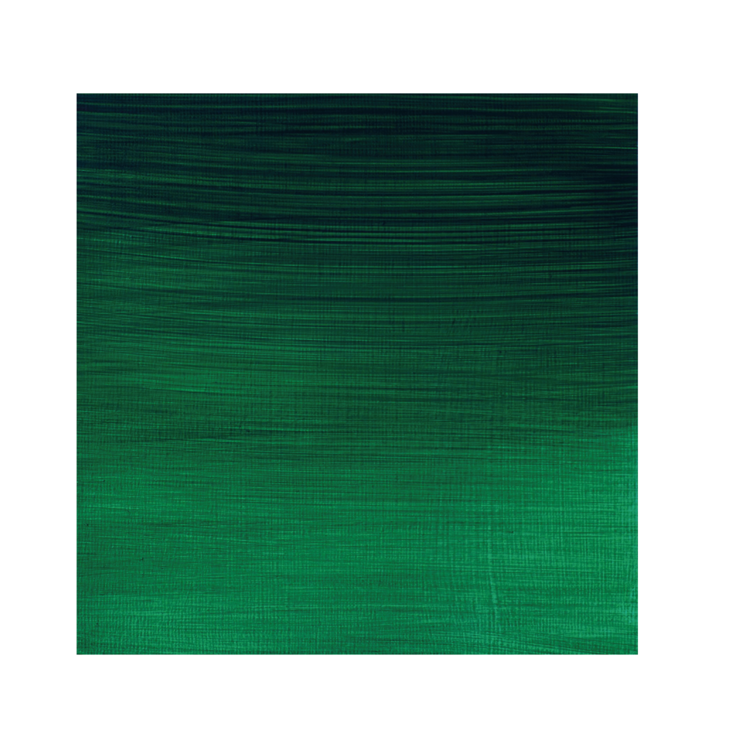 WINSOR & NEWTON ARTIST OLIEVERF 37ML S2 696 VIRIDIAN HUE 2