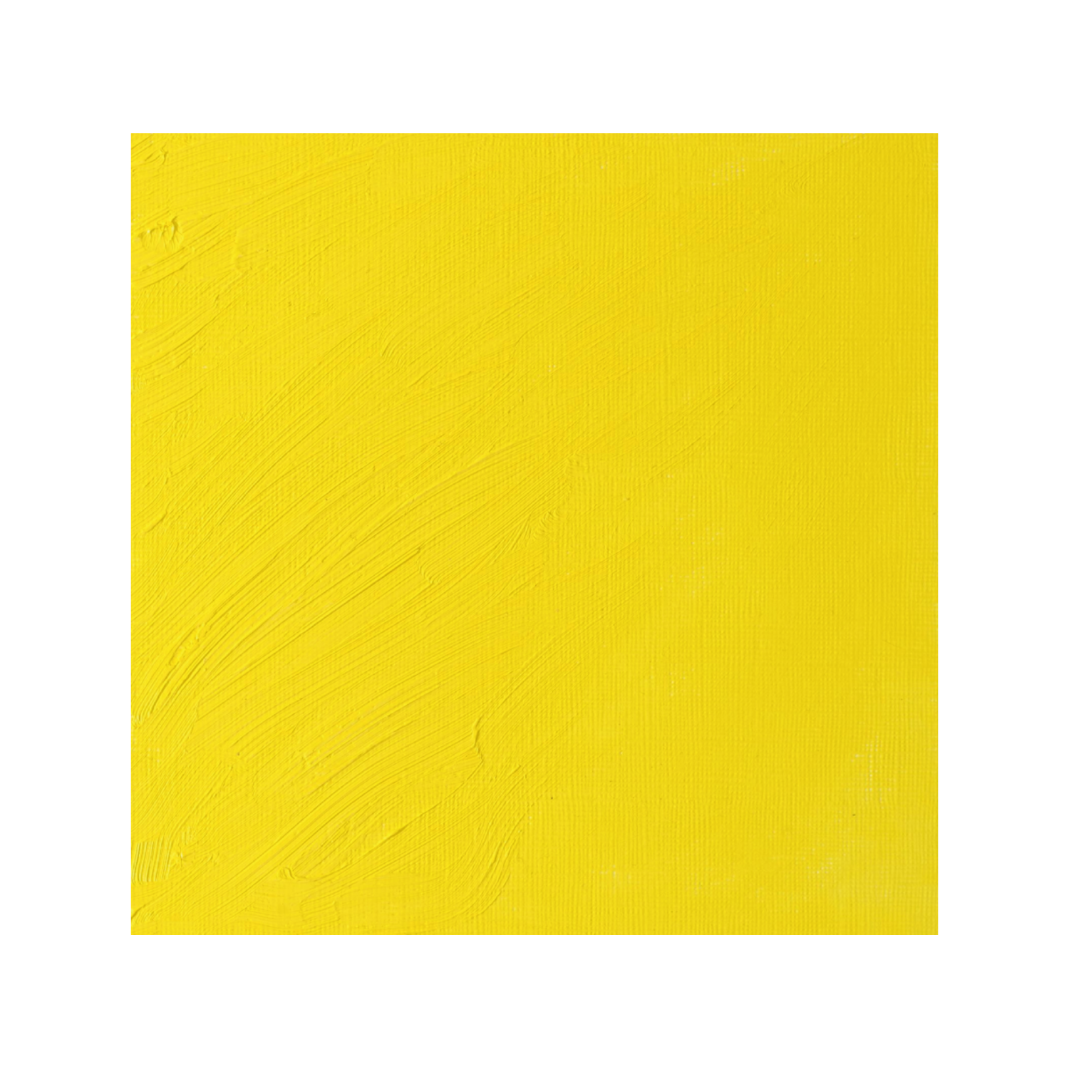 WINSOR & NEWTON ARTISTS ÖLFARBE 37ML 025 BISMUTHGELB 2