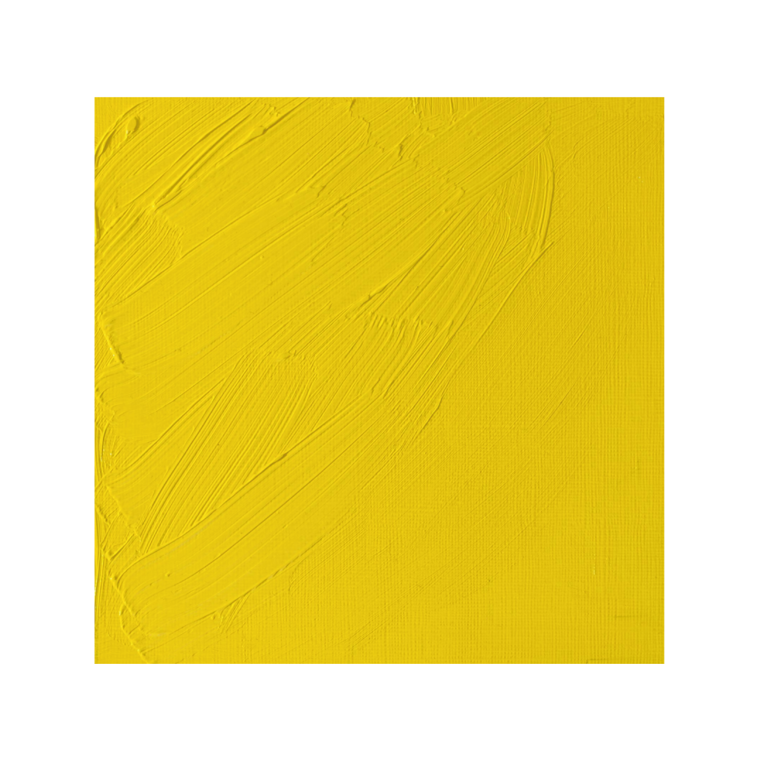 WINSOR & NEWTON ARTISTS ÖLFARBE 37ML 086 KADMIUMZITRON 2