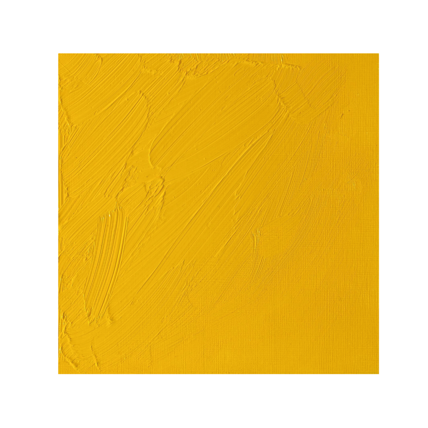 WINSOR & NEWTON ARTISTS ÖLFARBE 37ML 118 KADMIUMGELB HELL FARBTON 2