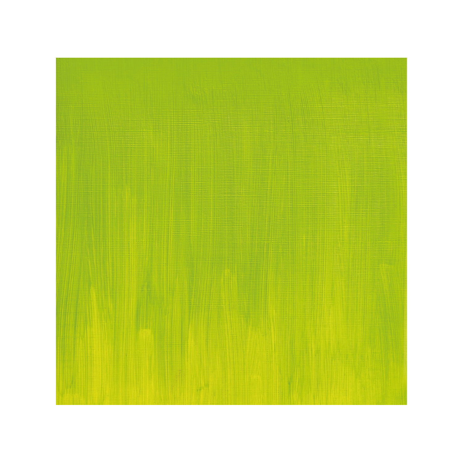 WINSOR & NEWTON ARTISTS ÖLFARBE 37ML S4 897 CADMIUM-FREE GREEN PALE 2