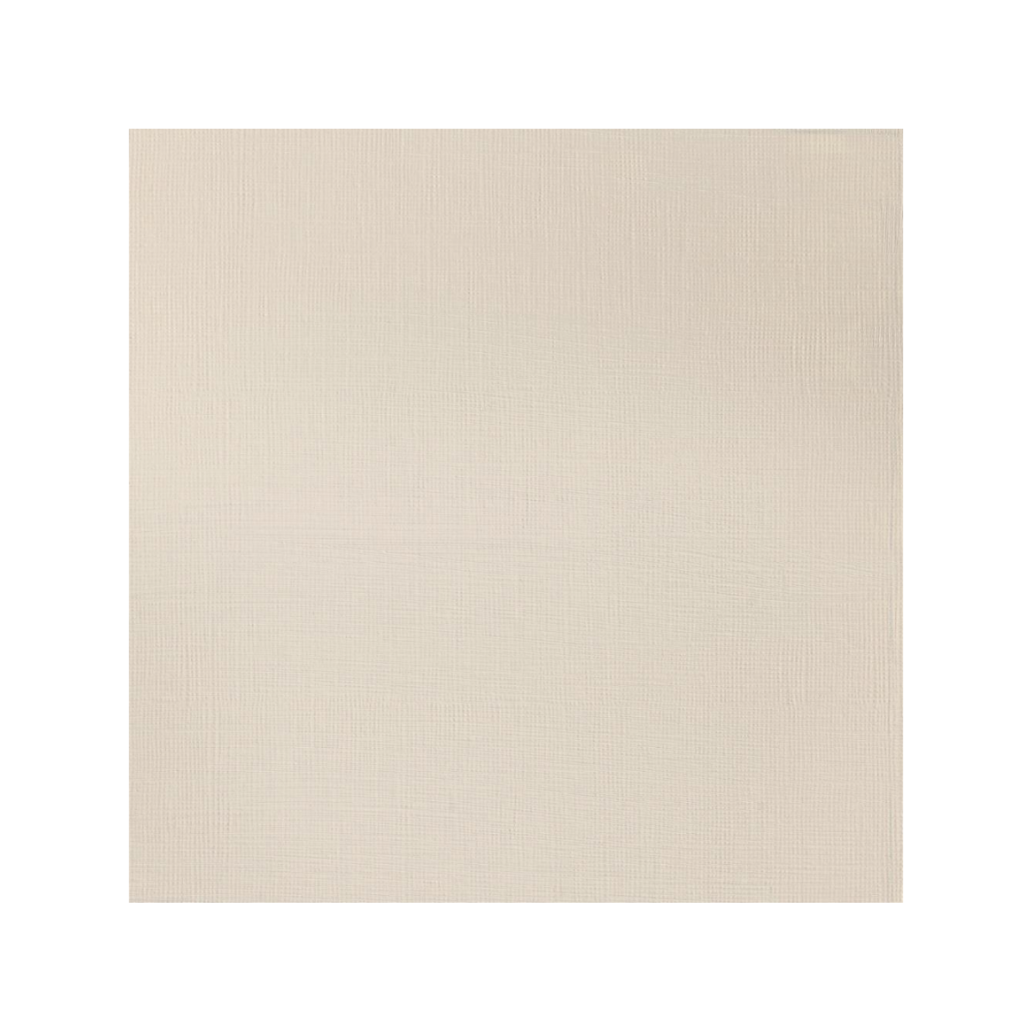 WINSOR & NEWTON PROFESSIONAL ACRYLIC 60ML 557 RAW UMBER LIGHT 3