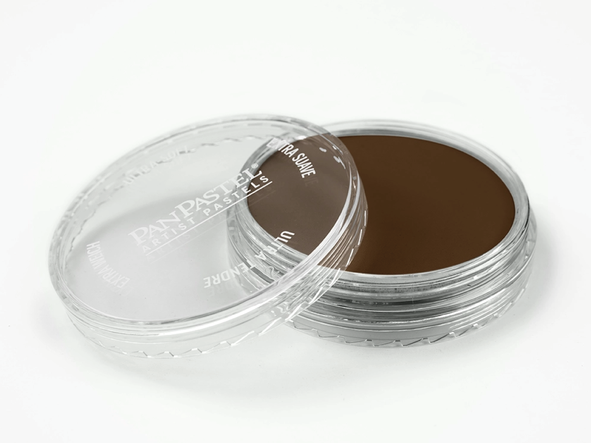 PANPASTEL 9ML BURNT UMBER SHADE 760.3 3